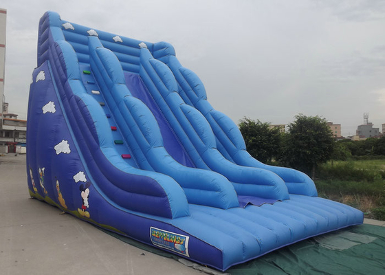 Διογκώσιμο Bouncy Castle τους μπλε χαρακτήρες κινουμένων σχεδίων χρώματος φωτογραφικών διαφανειών που τυπώνονται με