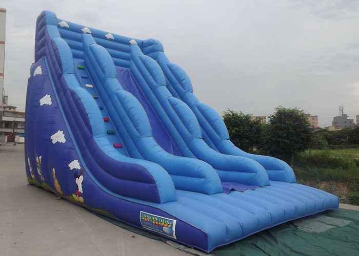 Διογκώσιμο Bouncy Castle τους μπλε χαρακτήρες κινουμένων σχεδίων χρώματος φωτογραφικών διαφανειών που τυπώνονται με